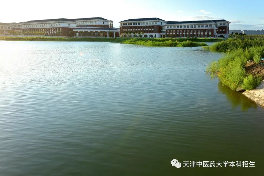 天津中医药大学最新发展概述