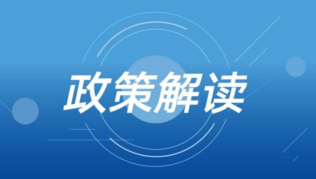 浙江杭州最新政策，推动城市高质量发展与民生福祉提升